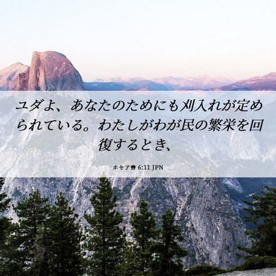 Picture 06 - ホセア書 6:11 JPN - ユダよ、あなたのためにも刈入れが - Bible Verse Picture
