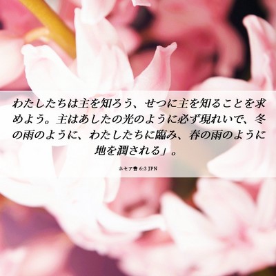 Picture 06 - ホセア書 6:3 JPN - わたしたちは主を知ろう、せつに主 - Bible Verse Picture