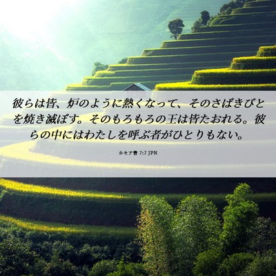 Picture 06 - ホセア書 7:7 JPN - 彼らは皆、炉のように熱くなって、 - Bible Verse Picture