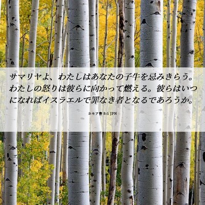 Picture 06 - ホセア書 8:5 JPN - サマリヤよ、わたしはあなたの子牛 - Bible Verse Picture