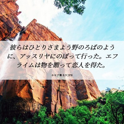 Picture 06 - ホセア書 8:9 JPN - 彼らはひとりさまよう野のろばのよ - Bible Verse Picture