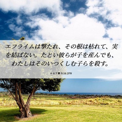 Picture 06 - ホセア書 9:16 JPN - エフライムは撃たれ、その根は枯れ - Bible Verse Picture