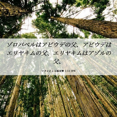 Picture 06 - マタイによる福音書 1:13 JPN - ゾロバベルはアビウデの父、アビウ - Bible Verse Picture