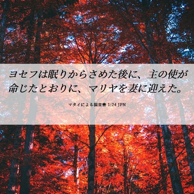 Picture 06 - マタイによる福音書 1:24 JPN - ヨセフは眠りからさめた後に、主の - Bible Verse Picture
