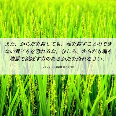 Picture 06 - マタイによる福音書 10:28 JPN - また、からだを殺しても、魂を殺す - Bible Verse Picture