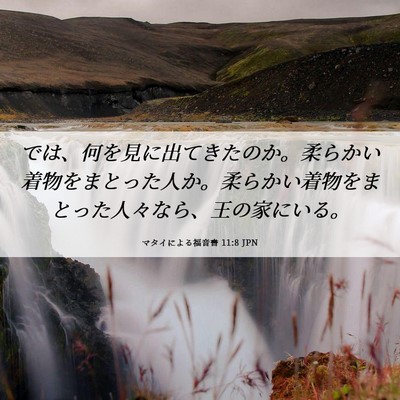 Picture 06 - マタイによる福音書 11:8 JPN - では、何を見に出てきたのか。柔ら - Bible Verse Picture