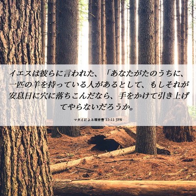 Picture 06 - マタイによる福音書 12:11 JPN - イエスは彼らに言われた、「あなた - Bible Verse Picture