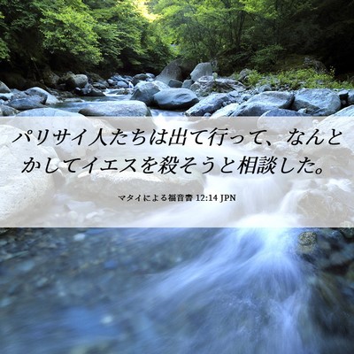 Picture 06 - マタイによる福音書 12:14 JPN - パリサイ人たちは出て行って、なん - Bible Verse Picture
