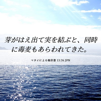 Picture 06 - マタイによる福音書 13:26 JPN - 芽がはえ出て実を結ぶと、同時に毒 - Bible Verse Picture