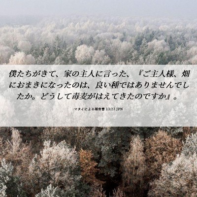 Picture 06 - マタイによる福音書 13:27 JPN - 僕たちがきて、家の主人に言った、 - Bible Verse Picture