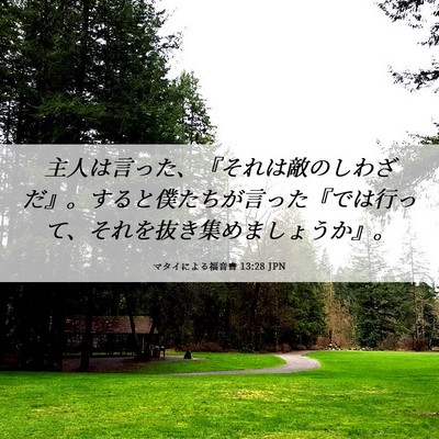 Picture 06 - マタイによる福音書 13:28 JPN - 主人は言った、『それは敵のしわざ - Bible Verse Picture