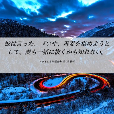 Picture 06 - マタイによる福音書 13:29 JPN - 彼は言った、『いや、毒麦を集めよ - Bible Verse Picture