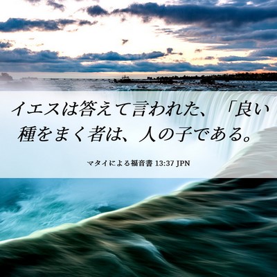 Picture 06 - マタイによる福音書 13:37 JPN - イエスは答えて言われた、「良い種 - Bible Verse Picture