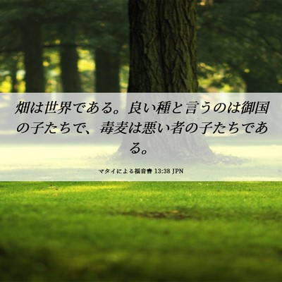 Picture 06 - マタイによる福音書 13:38 JPN - 畑は世界である。良い種と言うのは - Bible Verse Picture