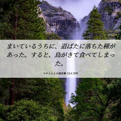 Picture 06 - マタイによる福音書 13:4 JPN - まいているうちに、道ばたに落ちた - Bible Verse Picture