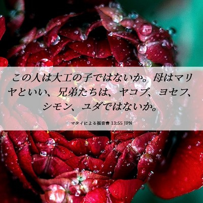 Picture 06 - マタイによる福音書 13:55 JPN - この人は大工の子ではないか。母は - Bible Verse Picture