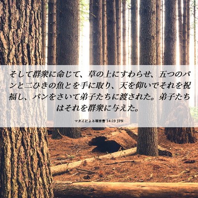Picture 06 - マタイによる福音書 14:19 JPN - そして群衆に命じて、草の上にすわ - Bible Verse Picture