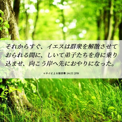 Picture 06 - マタイによる福音書 14:22 JPN - それからすぐ、イエスは群衆を解散 - Bible Verse Picture