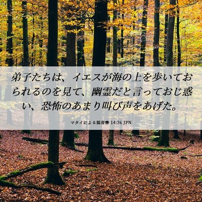 Picture 06 - マタイによる福音書 14:26 JPN - 弟子たちは、イエスが海の上を歩い - Bible Verse Picture