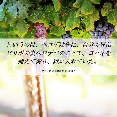 Picture 06 - マタイによる福音書 14:3 JPN - というのは、ヘロデは先に、自分の - Bible Verse Picture