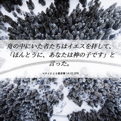 Picture 06 - マタイによる福音書 14:33 JPN - 舟の中にいた者たちはイエスを拝し - Bible Verse Picture