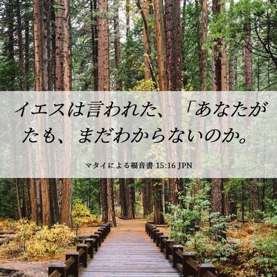 Picture 06 - マタイによる福音書 15:16 JPN - イエスは言われた、「あなたがたも - Bible Verse Picture