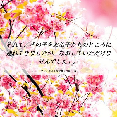 Picture 06 - マタイによる福音書 17:16 JPN - それで、その子をお弟子たちのとこ - Bible Verse Picture