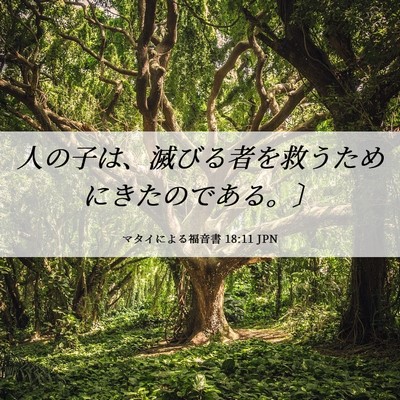 Picture 06 - マタイによる福音書 18:11 JPN - 人の子は、滅びる者を救うためにき - Bible Verse Picture