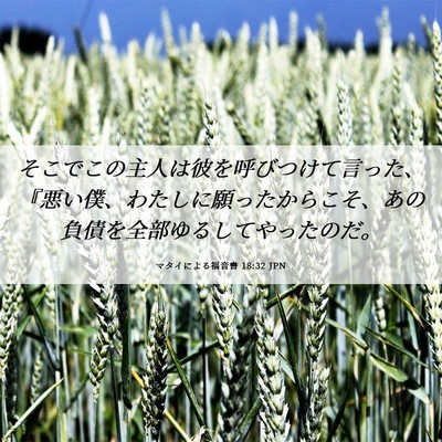 Picture 06 - マタイによる福音書 18:32 JPN - そこでこの主人は彼を呼びつけて言 - Bible Verse Picture