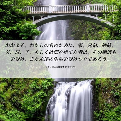 Picture 06 - マタイによる福音書 19:29 JPN - おおよそ、わたしの名のために、家 - Bible Verse Picture