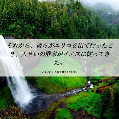 Picture 06 - マタイによる福音書 20:29 JPN - それから、彼らがエリコを出て行っ - Bible Verse Picture
