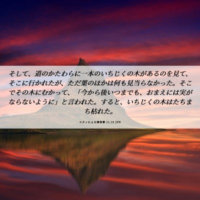 Picture 06 - マタイによる福音書 21:19 JPN - そして、道のかたわらに一本のいち - Bible Verse Picture