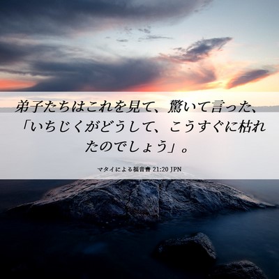 Picture 06 - マタイによる福音書 21:20 JPN - 弟子たちはこれを見て、驚いて言っ - Bible Verse Picture