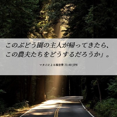 Picture 06 - マタイによる福音書 21:40 JPN - このぶどう園の主人が帰ってきたら - Bible Verse Picture