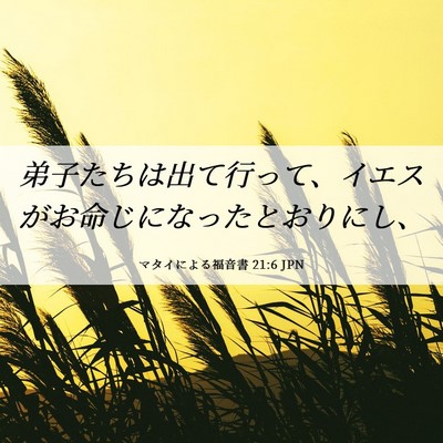 Picture 06 - マタイによる福音書 21:6 JPN - 弟子たちは出て行って、イエスがお - Bible Verse Picture