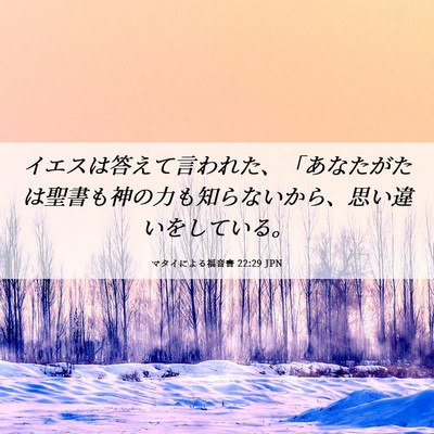 Picture 06 - マタイによる福音書 22:29 JPN - イエスは答えて言われた、「あなた - Bible Verse Picture