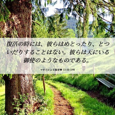 Picture 06 - マタイによる福音書 22:30 JPN - 復活の時には、彼らはめとったり、 - Bible Verse Picture