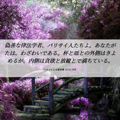 Picture 06 - マタイによる福音書 23:25 JPN - 偽善な律法学者、パリサイ人たちよ - Bible Verse Picture