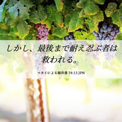 Picture 06 - マタイによる福音書 24:13 JPN - しかし、最後まで耐え忍ぶ者は救わ - Bible Verse Picture