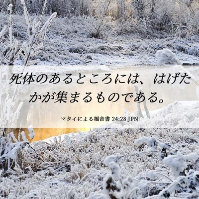 Picture 06 - マタイによる福音書 24:28 JPN - 死体のあるところには、はげたかが - Bible Verse Picture