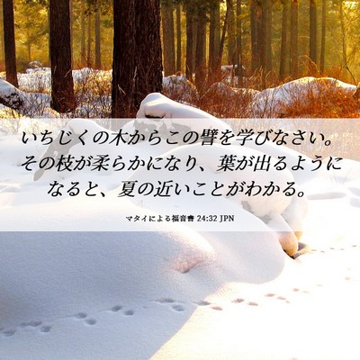 Picture 06 - マタイによる福音書 24:32 JPN - いちじくの木からこの譬を学びなさ - Bible Verse Picture