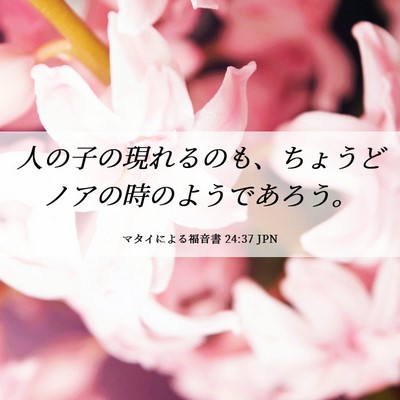 Picture 06 - マタイによる福音書 24:37 JPN - 人の子の現れるのも、ちょうどノア - Bible Verse Picture
