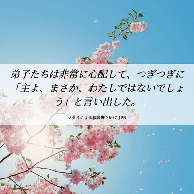 Picture 06 - マタイによる福音書 26:22 JPN - 弟子たちは非常に心配して、つぎつ - Bible Verse Picture