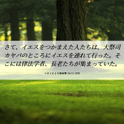Picture 06 - マタイによる福音書 26:57 JPN - さて、イエスをつかまえた人たちは - Bible Verse Picture