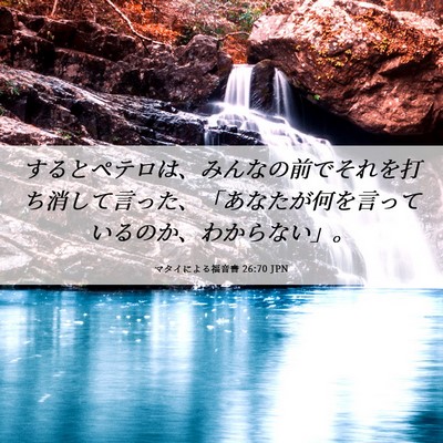 Picture 06 - マタイによる福音書 26:70 JPN - するとペテロは、みんなの前でそれ - Bible Verse Picture