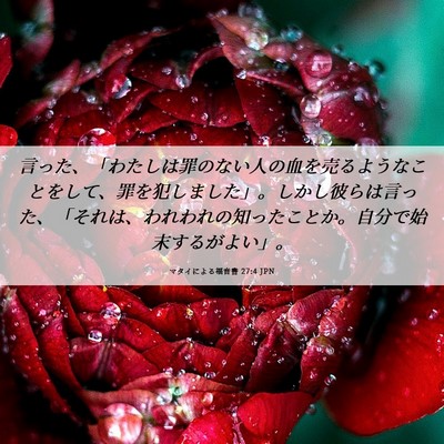 Picture 06 - マタイによる福音書 27:4 JPN - 言った、「わたしは罪のない人の血 - Bible Verse Picture