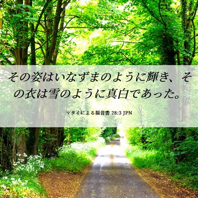 Picture 06 - マタイによる福音書 28:3 JPN - その姿はいなずまのように輝き、そ - Bible Verse Picture