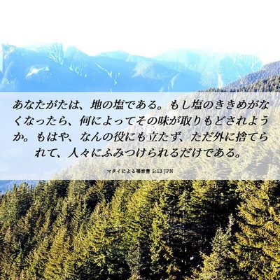 Picture 06 - マタイによる福音書 5:13 JPN - あなたがたは、地の塩である。もし - Bible Verse Picture