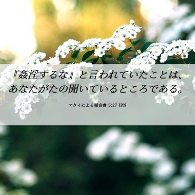 Picture 06 - マタイによる福音書 5:27 JPN - 『姦淫するな』と言われていたこと - Bible Verse Picture