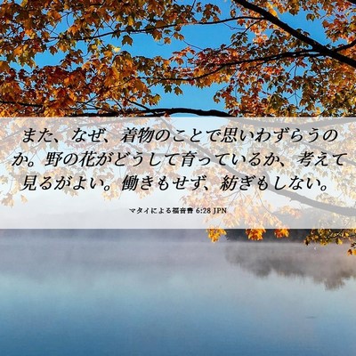 Picture 06 - マタイによる福音書 6:28 JPN - また、なぜ、着物のことで思いわず - Bible Verse Picture